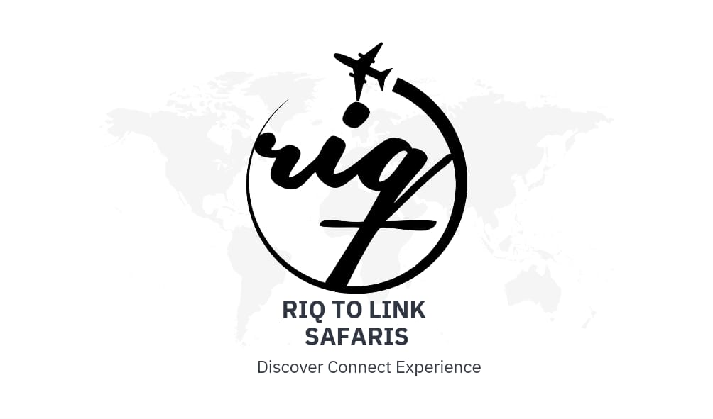 Riqtolink logo